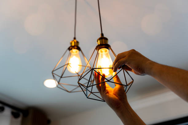 Best Generator Installation Services  in Ladoga, IN