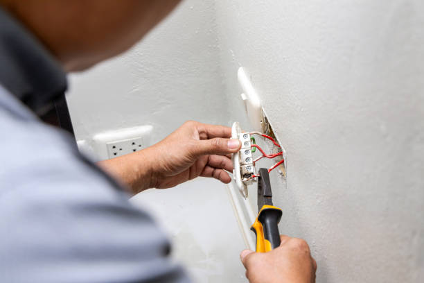 Best Electric Panel Repair  in Ladoga, IN